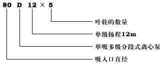 D型多級泵(圖1)