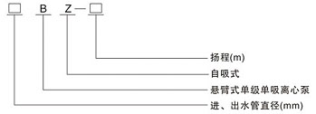 BZ型自吸式離心泵(圖1)