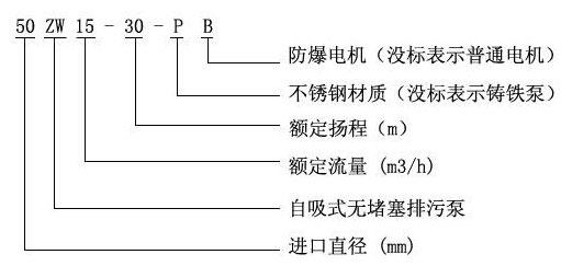 ZW型聯(lián)軸器式無堵塞自吸泵(圖1)