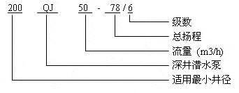 QJ型井用潛水電泵(深井泵)(圖1)