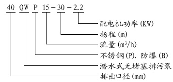 WQPB型不銹鋼防爆礦用潛水泵(圖1)